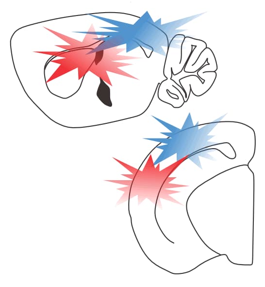 Scientific illustration representing multiplexed optogenetic stimulation.