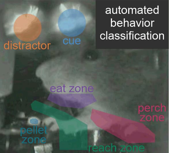 Scientific figure showing categories used to classify reaching-related behavioral events